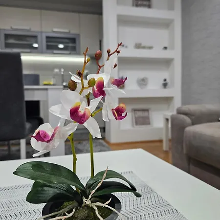 Vukota Apartment Pirot